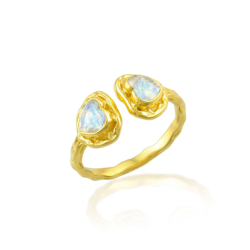 Anillos
